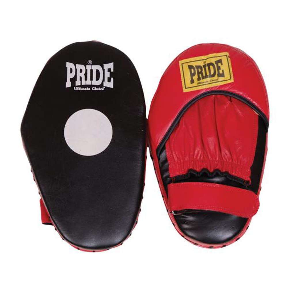 Picture of Professional training focus mitts