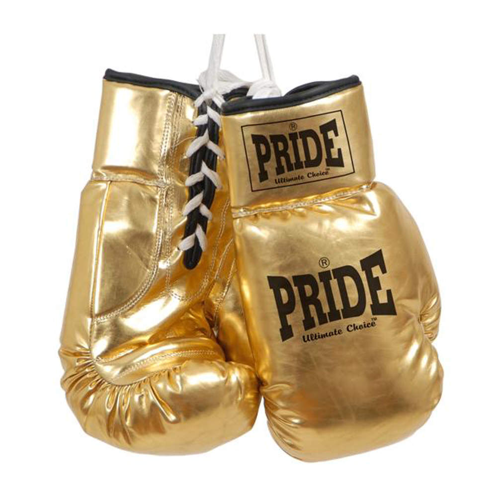 Picture of Promotional - autograph boxing gloves