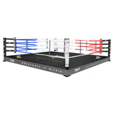Picture of Everlast professional boxing/ thai/ MMA training ring.