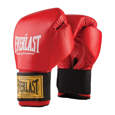 Picture of Everlast professional gloves Ray