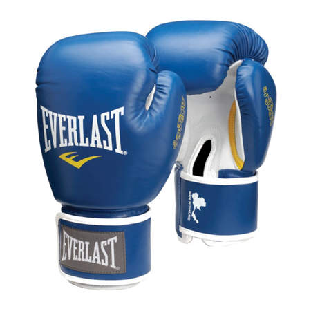 Picture of Everlast Muay Thai gloves