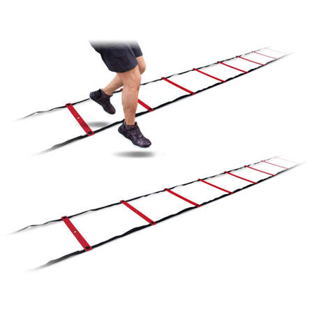 Picture of UFC speed ladder 