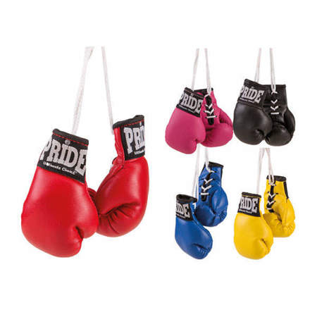Picture of PRIDE miniature boxing gloves 
