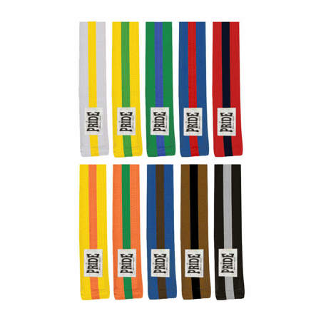 Picture of Two-colour belt with stripes