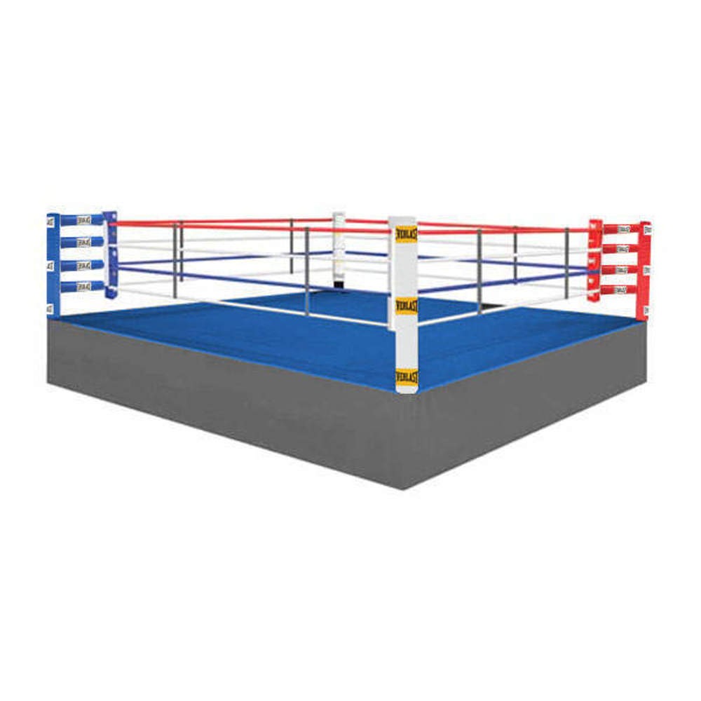 Everlast boxing ring on sale