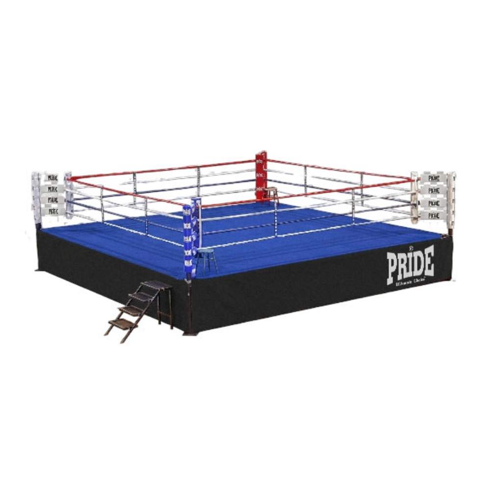 Picture of Prof. boksački/ THAI/ MMA ring