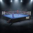 Picture of Prof. boksački/ THAI/ MMA ring