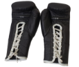 Picture of Kolekcionarske Everlast® prof. rukavice za mečeve 1010
